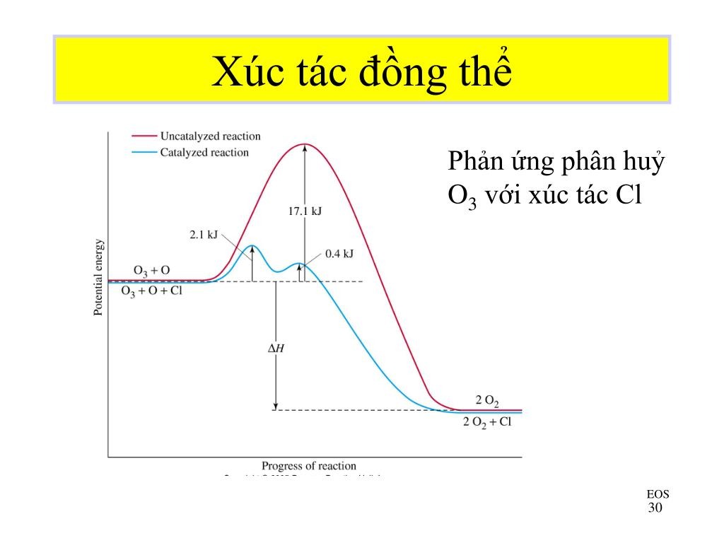 Có nhiều loại phản ứng đồng thể khác nhau 